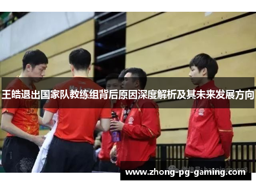 王皓退出国家队教练组背后原因深度解析及其未来发展方向