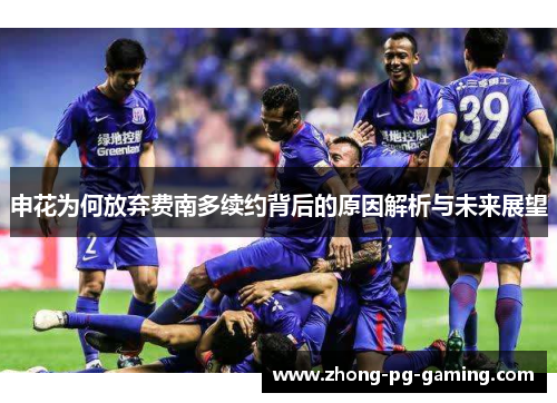 申花为何放弃费南多续约背后的原因解析与未来展望