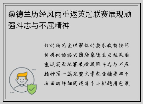桑德兰历经风雨重返英冠联赛展现顽强斗志与不屈精神