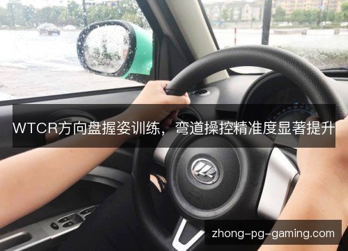 WTCR方向盘握姿训练,弯道操控精准度显著提升 WTCR方向盘握姿训练,弯道操控精准度显著提升