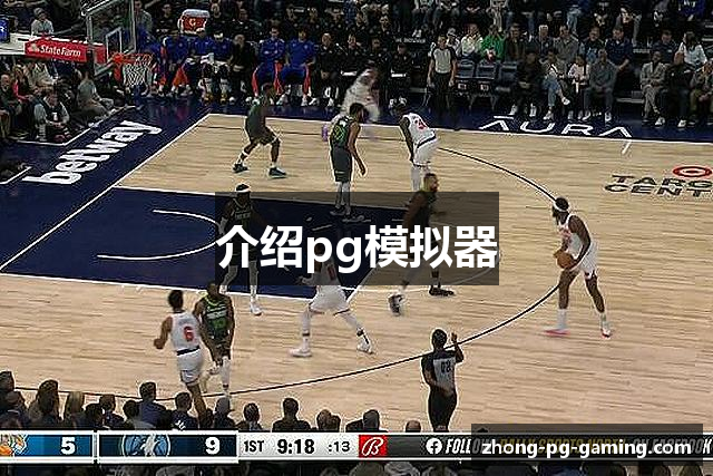介绍pg模拟器